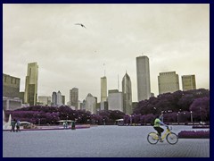 Skyline from Grant Park 13